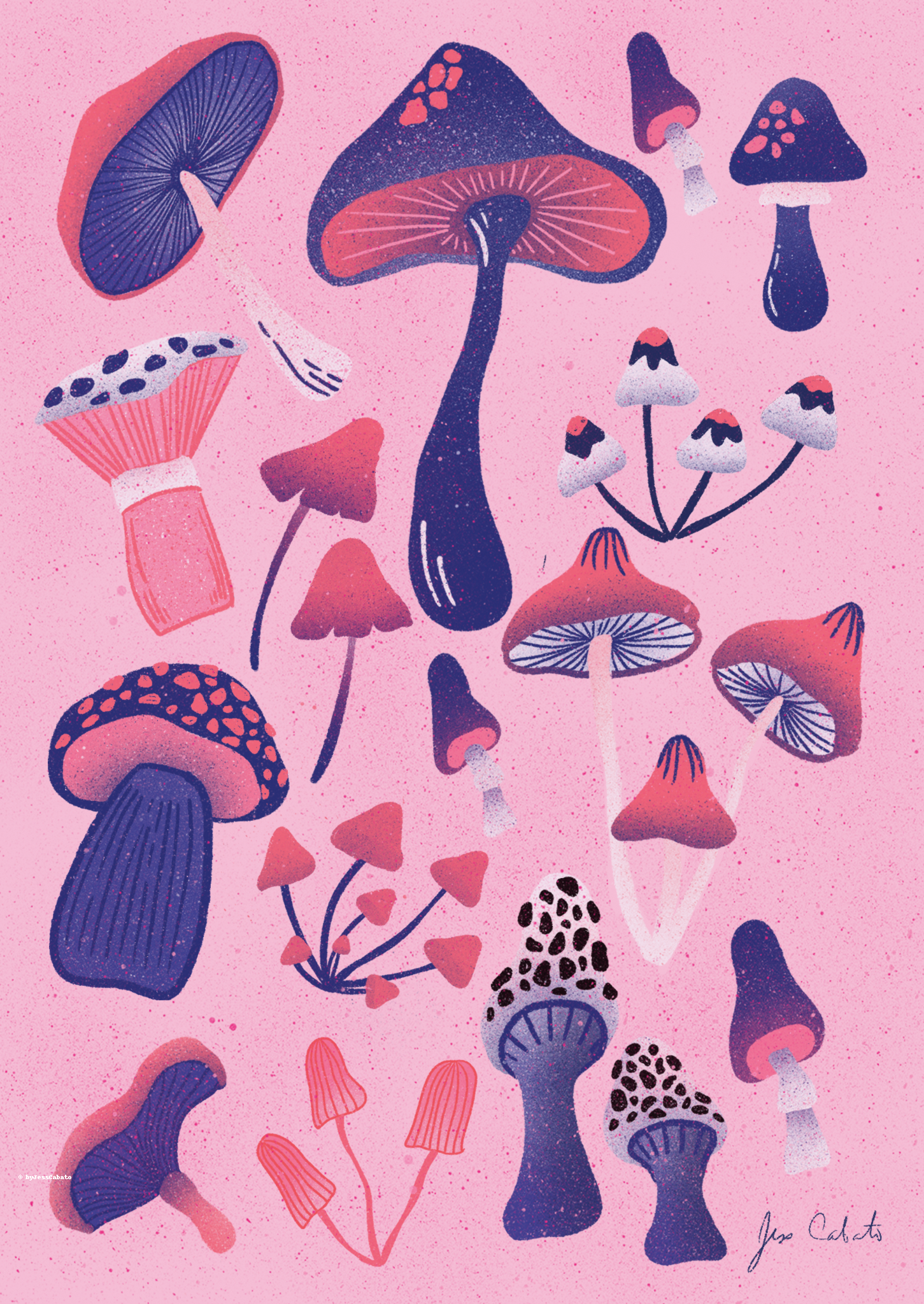Whimsy Mushroom Garden