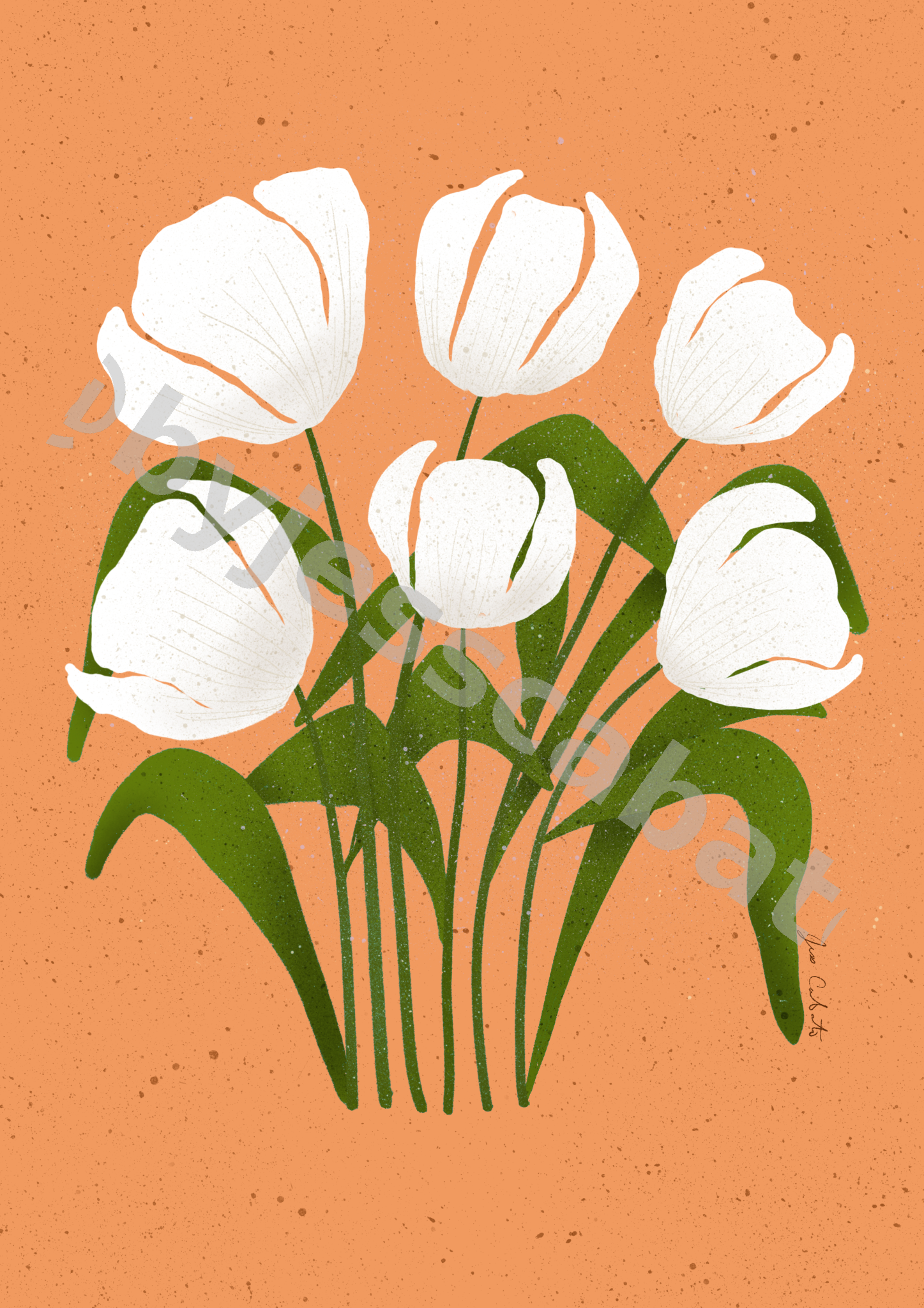 White Tulips – Terracotta Glow