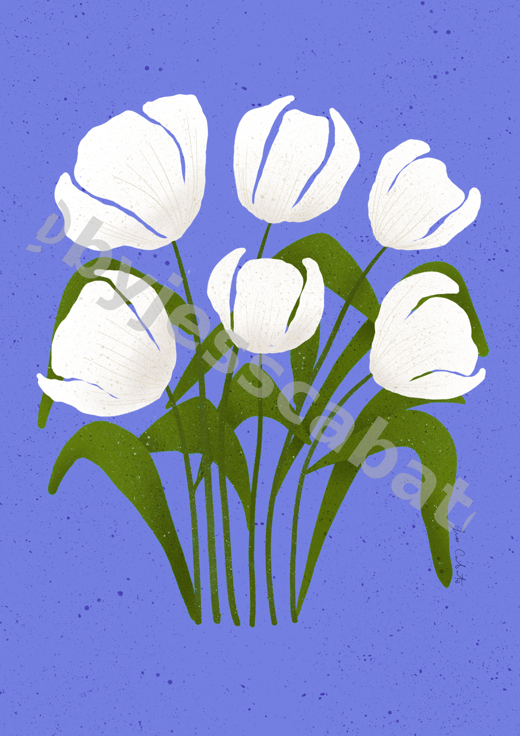 White Tulips – Lavender Field